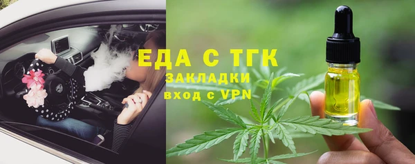 хмурый Гусь-Хрустальный