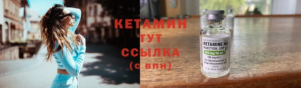 трава Дмитриев