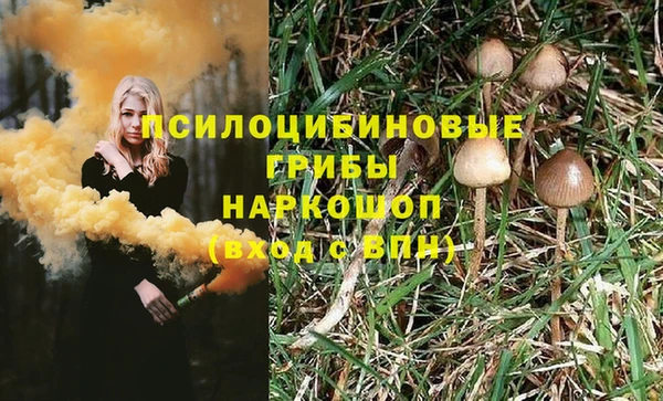 трава Дмитриев