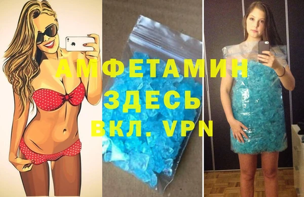 трава Дмитриев