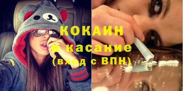 трава Дмитриев