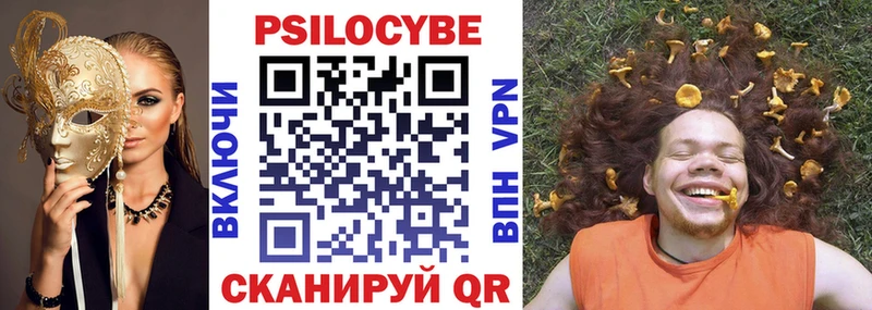 Псилоцибиновые грибы Psilocybine cubensis  Ленинградская 
