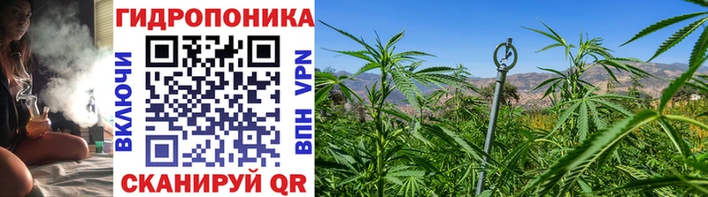 МАРИХУАНА Bruce Banner Ленинградская